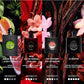 Black Opium Eau De Parfum over Red Spray, 3 Oz.