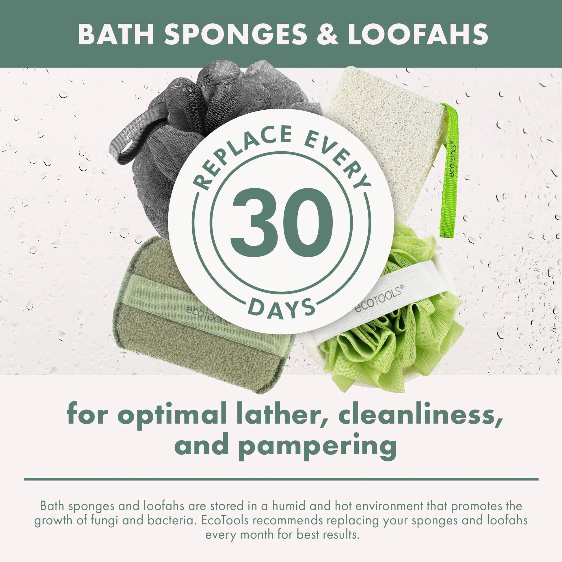 (3 Pack)  2-In-1 Bath Pouf, Body Cleansing Blue & Cream Loofah, for Adults,1 Count