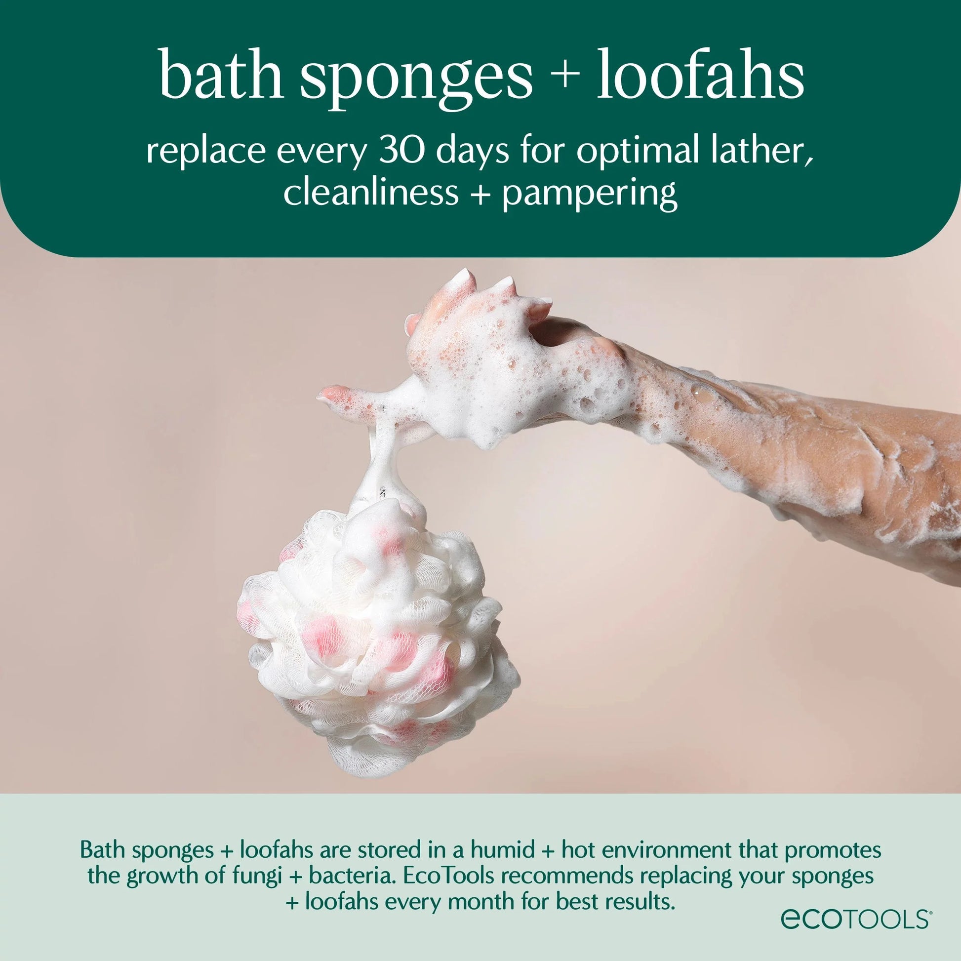 (3 Pack)  2-In-1 Bath Pouf for Whole-Body Cleansing, Green & Cream Loofah, for Adults 1 Count