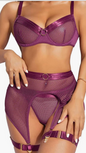 Women's Sexy Lace Mesh Perspective Sexy Lingerie Set - conveyorskincare.com