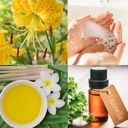 Citronella Soap - conveyorskincare.com