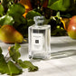 English Pear & Freesia Cologne, 3.4-Oz.